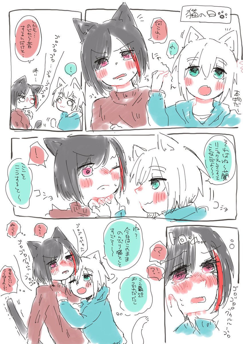 2日遅れのネコの日モカ蘭ちゃん🐈