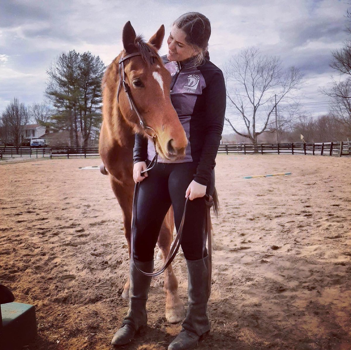 btestables_erin's tweet photo. We did it! #DenmansCall had his first post track ride, and he was a champ❤️ so happy to have my sweet Magoo home with me🥰🥰 @WCRacingInc @DougONeill1 @RRP_TBMakeover #ottb https://t.co/CbzvvrHGt2