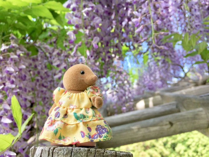 Ukシルバニア Sewing With Mother のclearwaterさんについてのメモ ハシのメモ帳