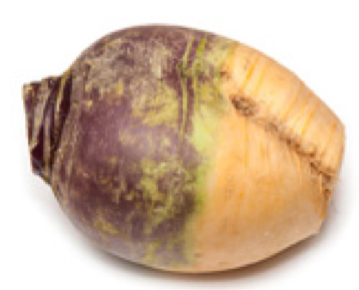 Rassasyme's tweet photo. Week 27 – Rutabaga https://t.co/I3RPL6wE7r https://t.co/CPwJSane9r