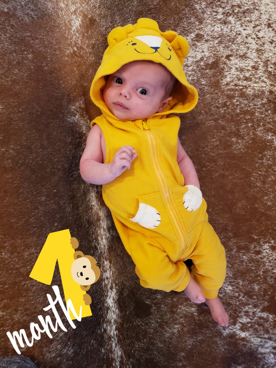 MollyMiller33's tweet photo. 1 month old! #CyCarter https://t.co/GCgA4Sm8TD
