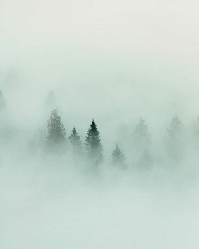 The clouds passing through touched the ground #CapeHorn #Prindle #SkamaniaCounty #Washington #WashingtonExplored ift.tt/2Pj9oPY