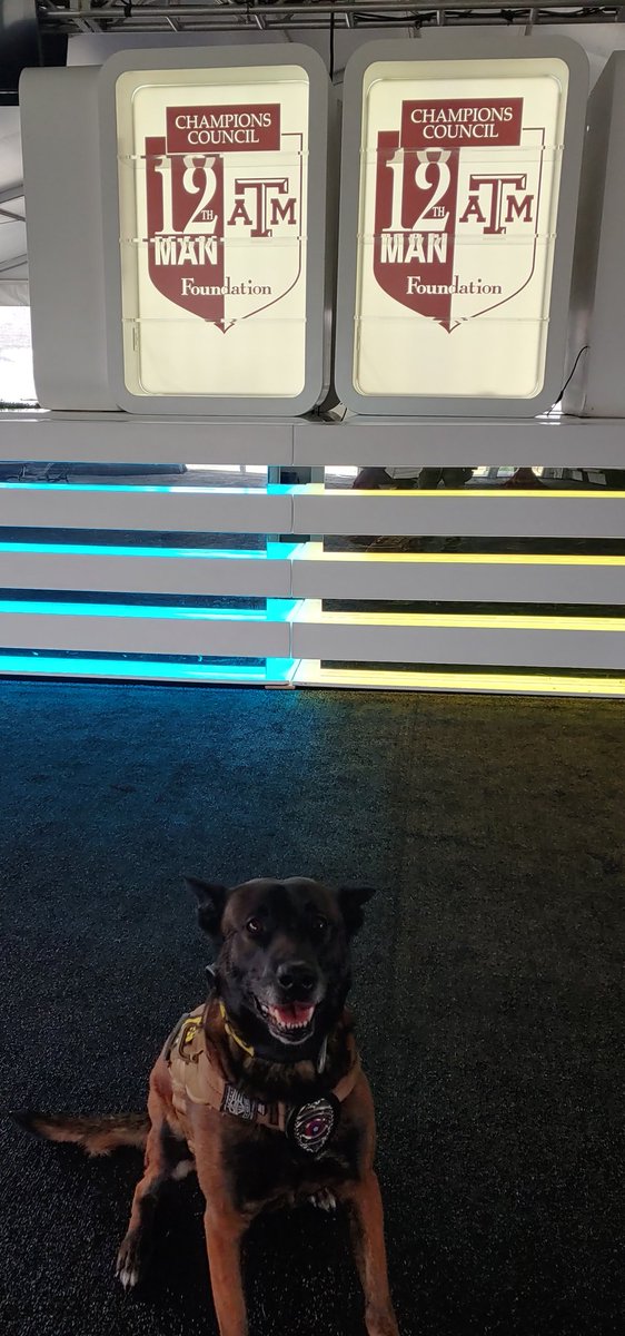 TK9jackie's tweet photo. Spent the night with dad guarding the @12thManFndtn Champions Council tent. Great people, good food (for dad) and a fun time. https://t.co/jA5LLxfwHT