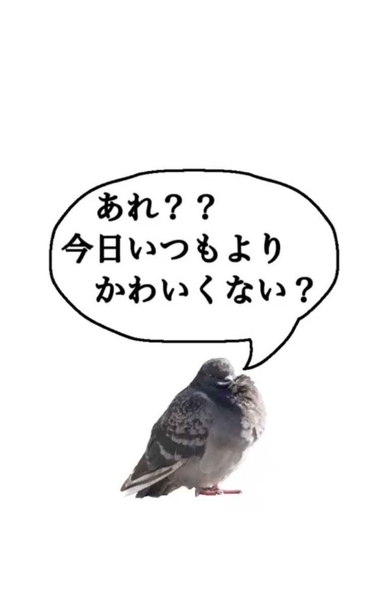天才の上飛ぶの忍びねぇな 君 無敵だよ 鳩さんがいろんな言葉で褒めてくれるルーレットがめちゃ元気出る 2ページ目 Togetter