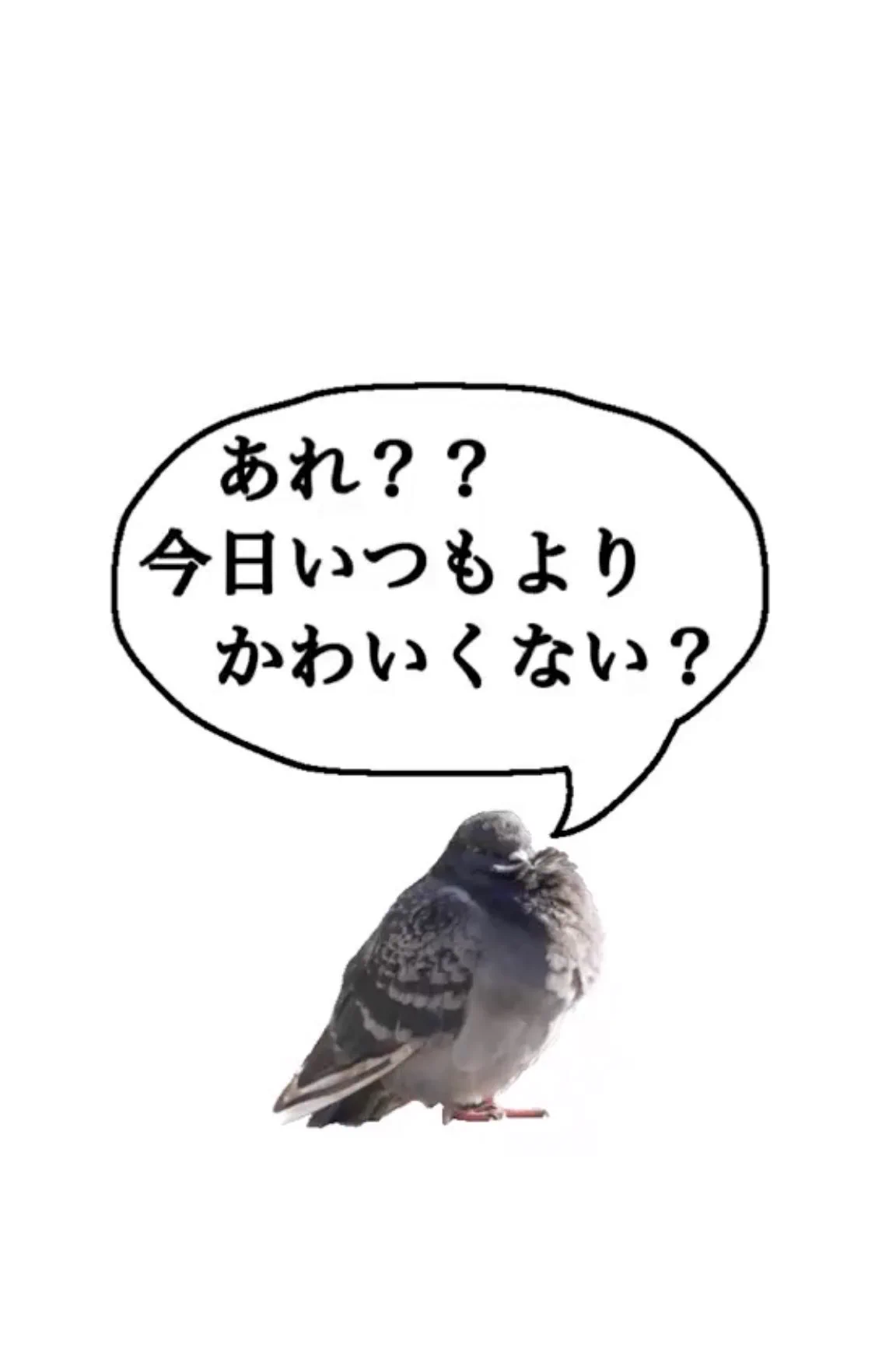 うわーい😆ありがとう😊  
