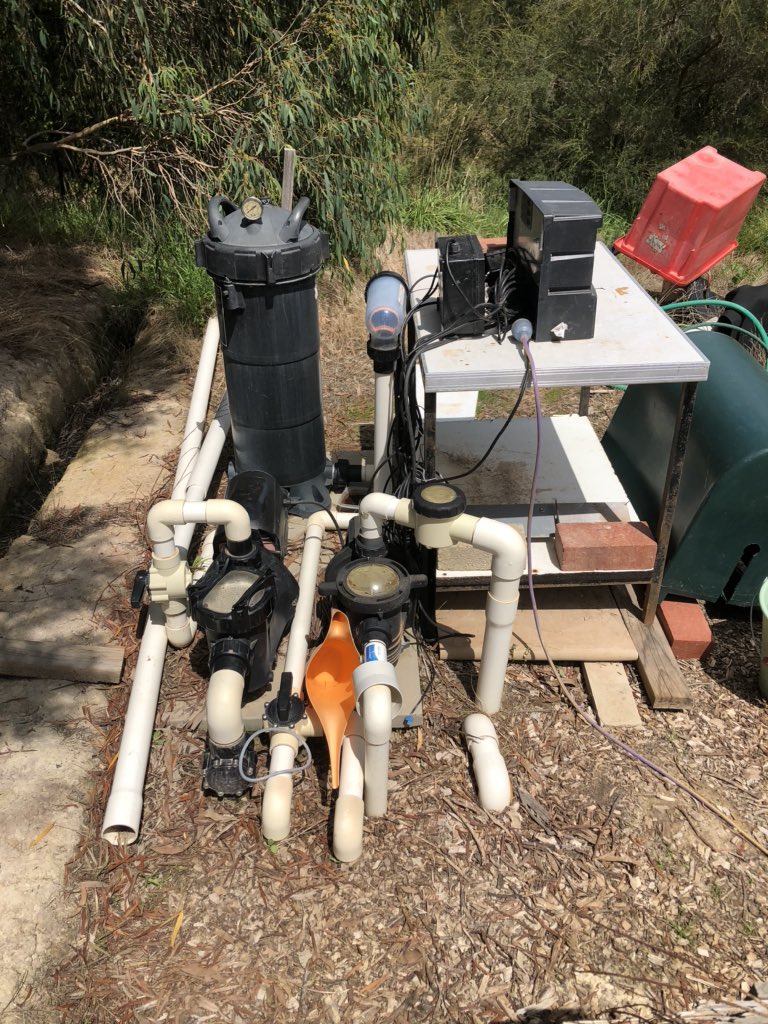 Need to fix the pump so the pool can be revitalised.