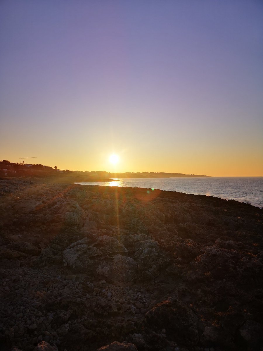 SE DICO TARANTO tweet media