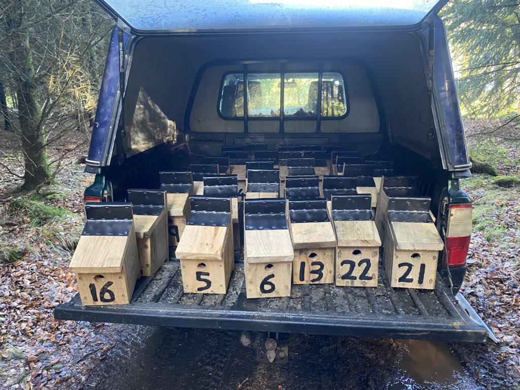 For #NationalNestboxWeek last week the first 60 of 170 boxes were made to help support #piedflycathcers at five new sites across Devon for @piedflynet monitoring. Plenty more to make this week on a rainy Dartmoor!
