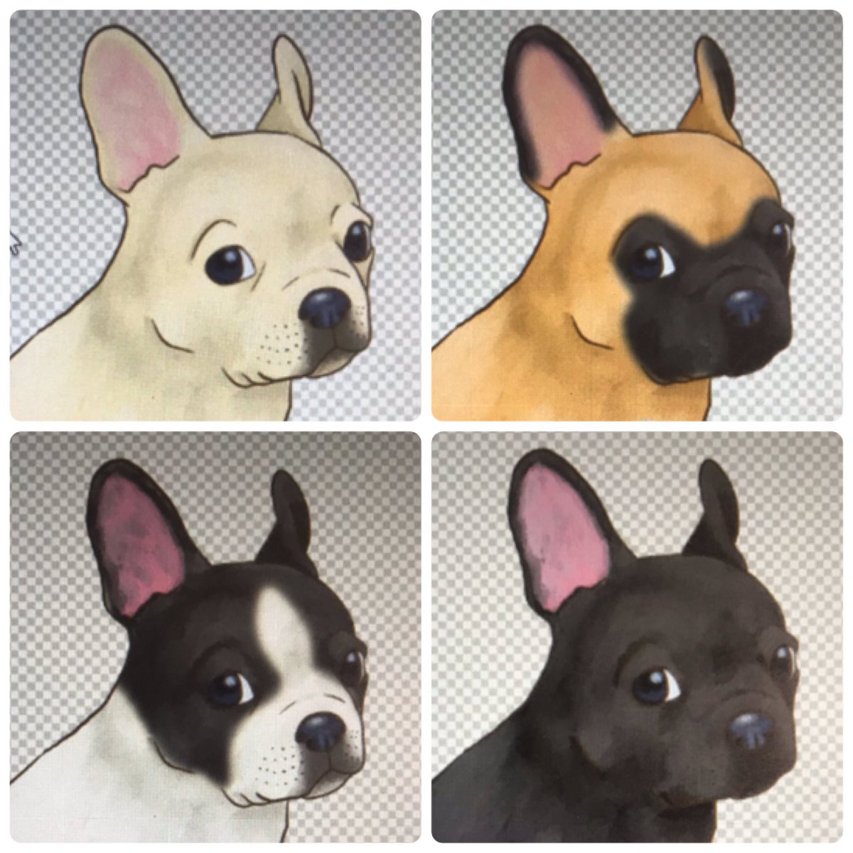 Factoryhitomi わんこ展ありがとうございました フレブル ちゃんのカラーバリエーション完成 左上から時計回りにクリーム フォーン パイド ブリンドルです Clipstudiopaint Photoshop イラスト好きな人と繋がりたい フレンチブルドッグ Factoryhitomi わんこ展ありがとうございました フレブル ちゃんのカラーバリエーション完成 左上から時計回りにクリーム フォーン パイド ブリンドルです Clipstudiopaint Photoshop イラスト好きな人と繋がりたい フレンチブルドッグ