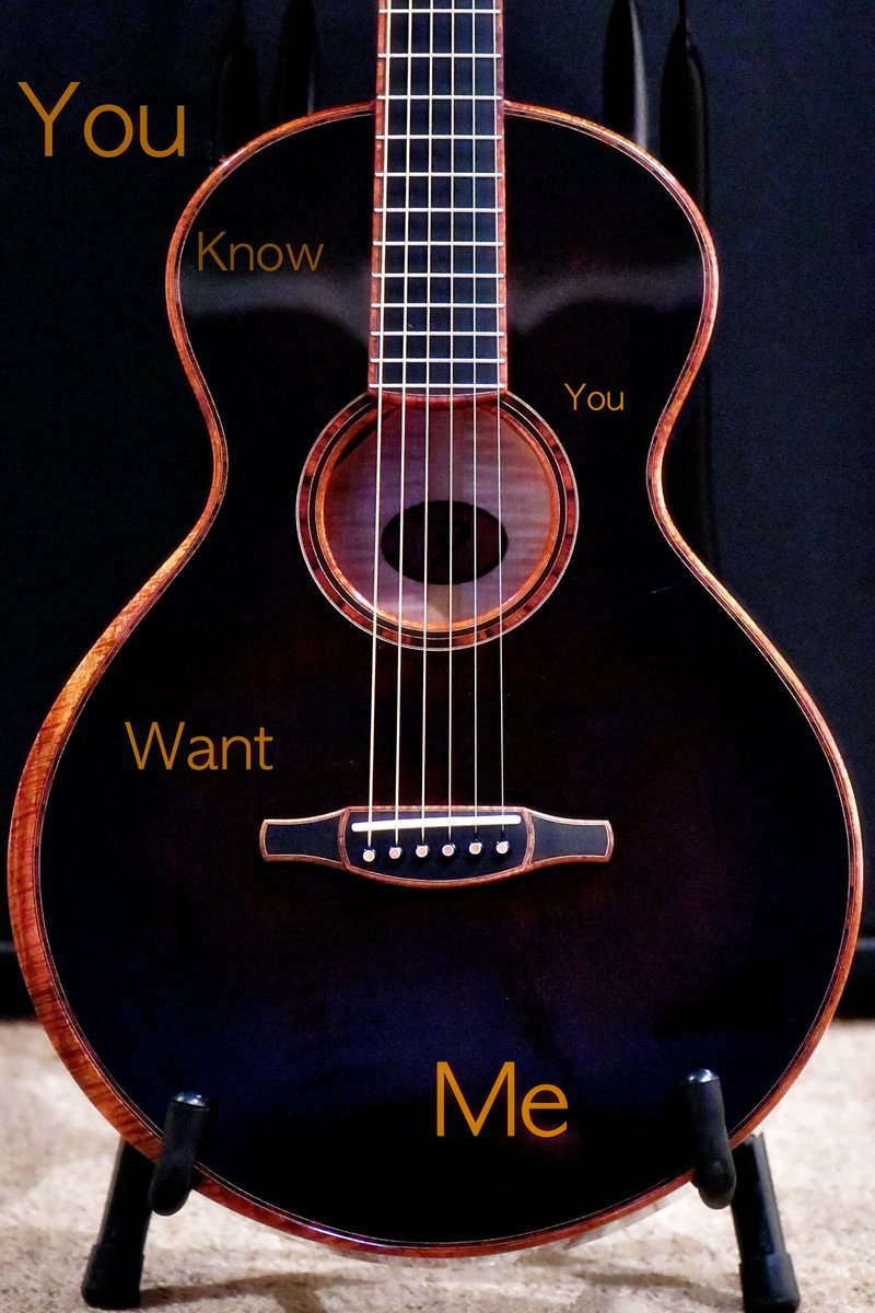 The Acoustic Music Company tweet media
