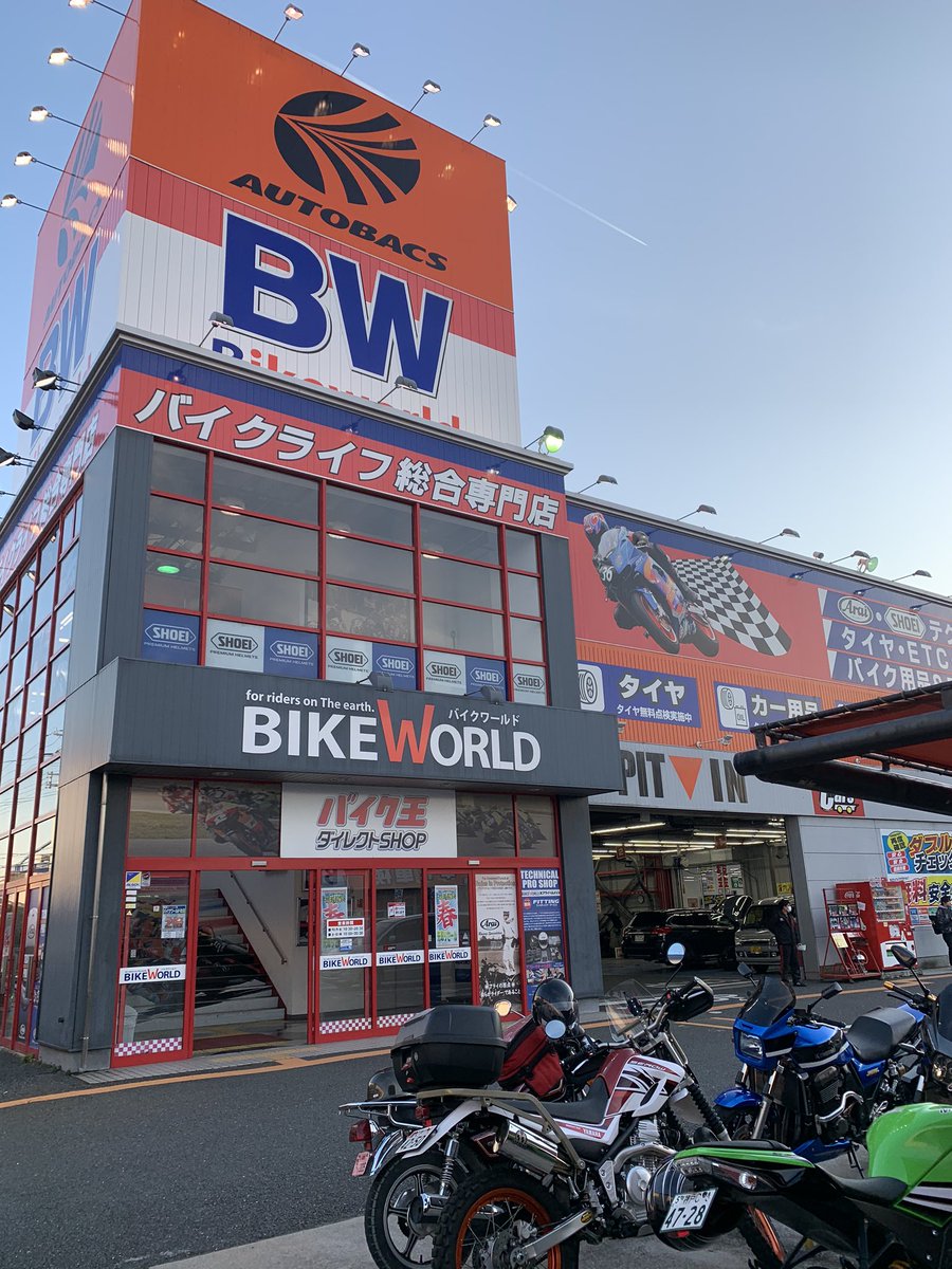 シャムロック (@mejc38zpx) / Posts / X