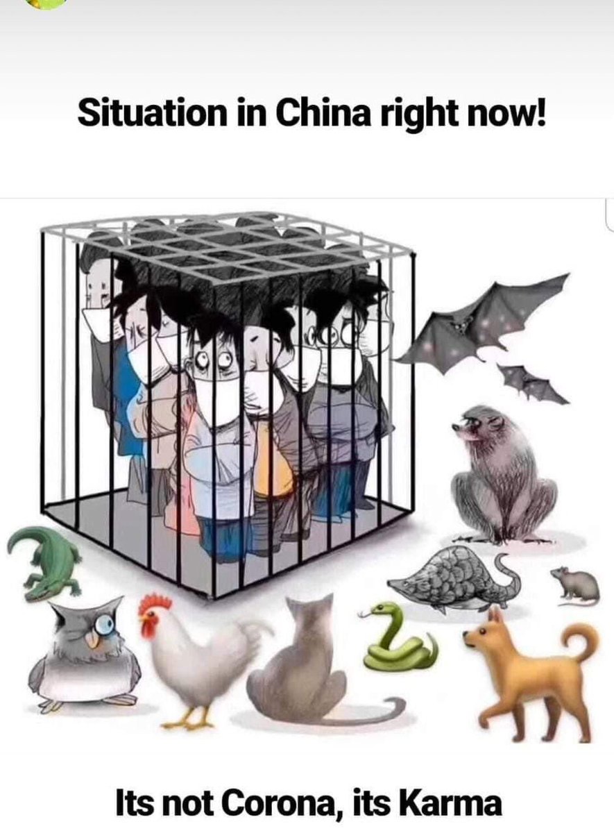 TibetPeople's tweet photo. @Brooklynmonk From our view on #China’s #COVID19.  
#FreeTibet #FreeHK #XiJinping #XiVirus #CCP #WHO #UN #CoronaRevolution #Chinazi #ChinaVirus #KarmaVirus #Italy #EU #US #TashiDelek #LosarTashiDelek #USIndia #IndiaUSA #USIndiaSummit #USIndiaDosti https://t.co/sczjPRI3WD