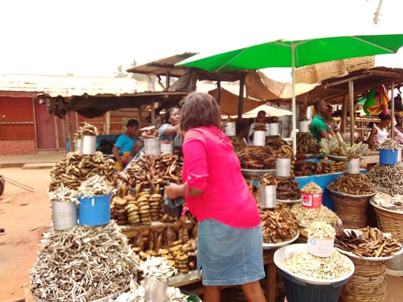 paulatsu2323's tweet photo. @au_ibar is in #Cairo, #Egypt from 24-26 February 2020. We are holding a Training Workshop for #Women & #Youth in #Aquaculture Value Chain and #businessdevelopment https://t.co/19jUUiyfda
#YouthinAg #AYLFAIN #Incubationtv #Fbridge
Photo Credit: Detravel https://t.co/5c057fx0Mh