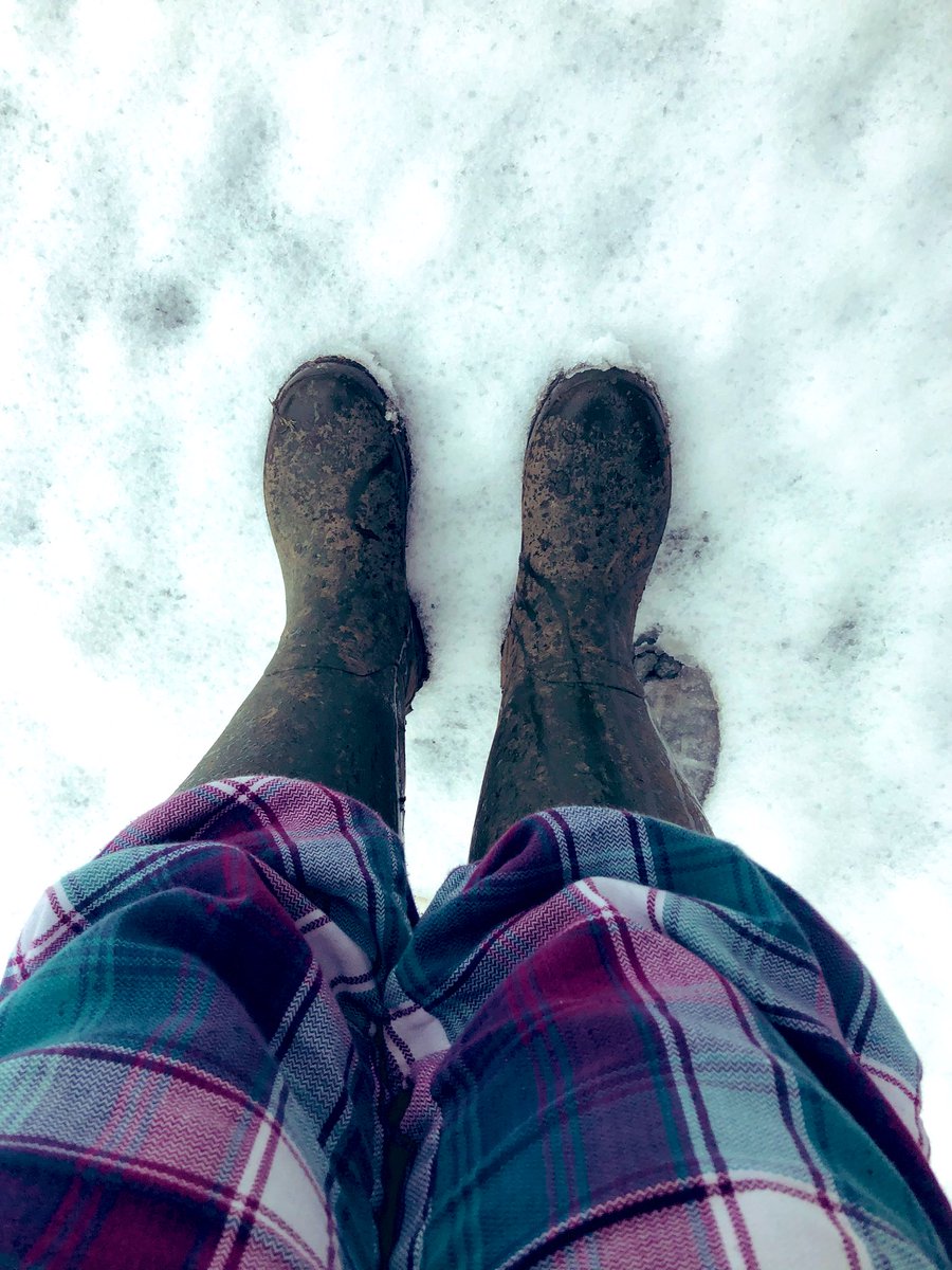 EggPuddingStone's tweet image. Well that was a surprise! ⛄️❄️🥶🐓 #snow #uksnow #cumbria #lakedistrict