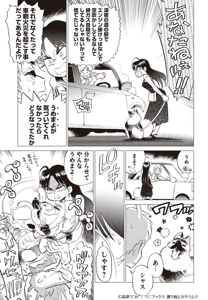 メガネ娘がワンコと車中泊旅するマンガ ⑤ 