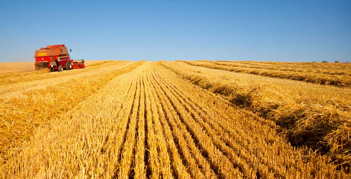 FranceTravail's tweet photo. Le secteur #agricole propose actuellement près de 70 000 postes à pourvoir selon @ChLambert_FNSEA présidente du 1er syndicat agricole @FNSEA. Découvrez les opportunités d'#emplois de ce secteur ➡️ https://t.co/dfyUVLdz5W #SIA2020 #SIAPRO2020 #VersUnMétier https://t.co/35g0DhqbLG