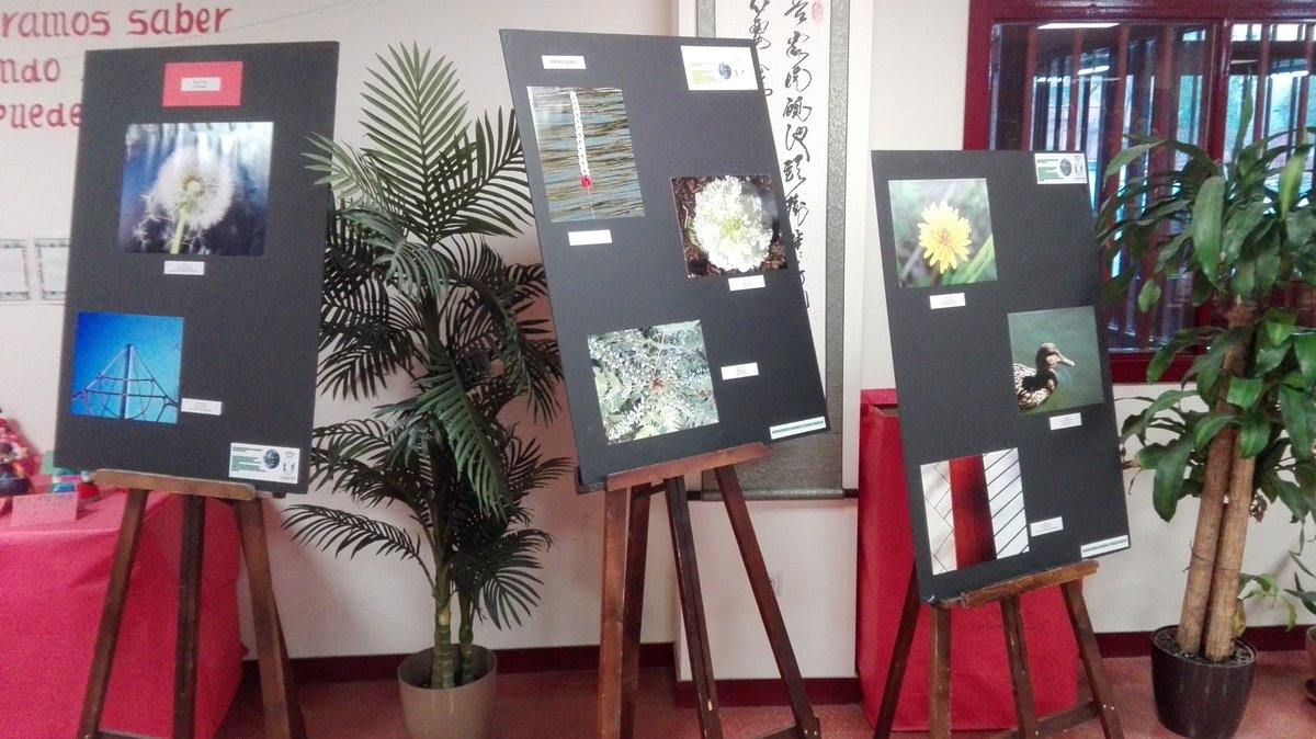 Llega la fotografía matemática a nuestro centro para aportarnos una nueva mirada a ese mundo que tantas veces pasa desapercibido ante nuestros ojos.