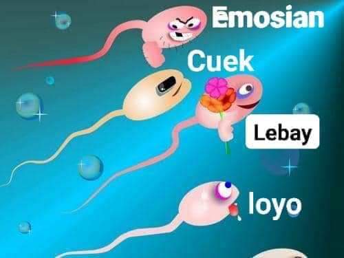 Aldo_99892's tweet photo. awas yg ska berenang nnti hamil hehe https://t.co/owkCGdsbAE