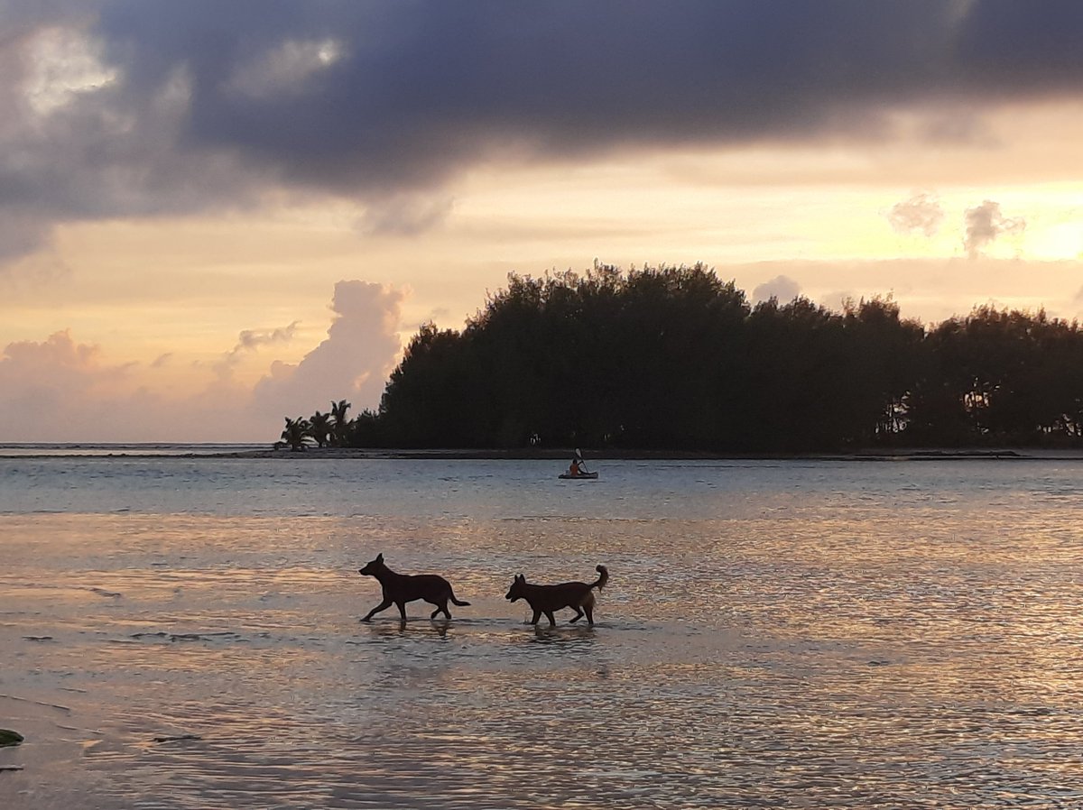 islands_red's tweet photo. https://t.co/AxOxtTssPS