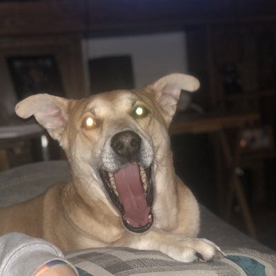 #NewProfilePic