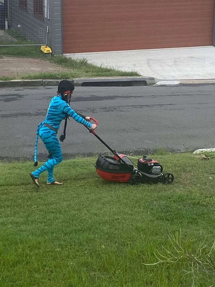 Someone complained to the council about a lady "Mowing her lawn at 6:45pm in a black dress with no shoes" 

So the entire suburb had a "Ridiculous mowing outfit" day.