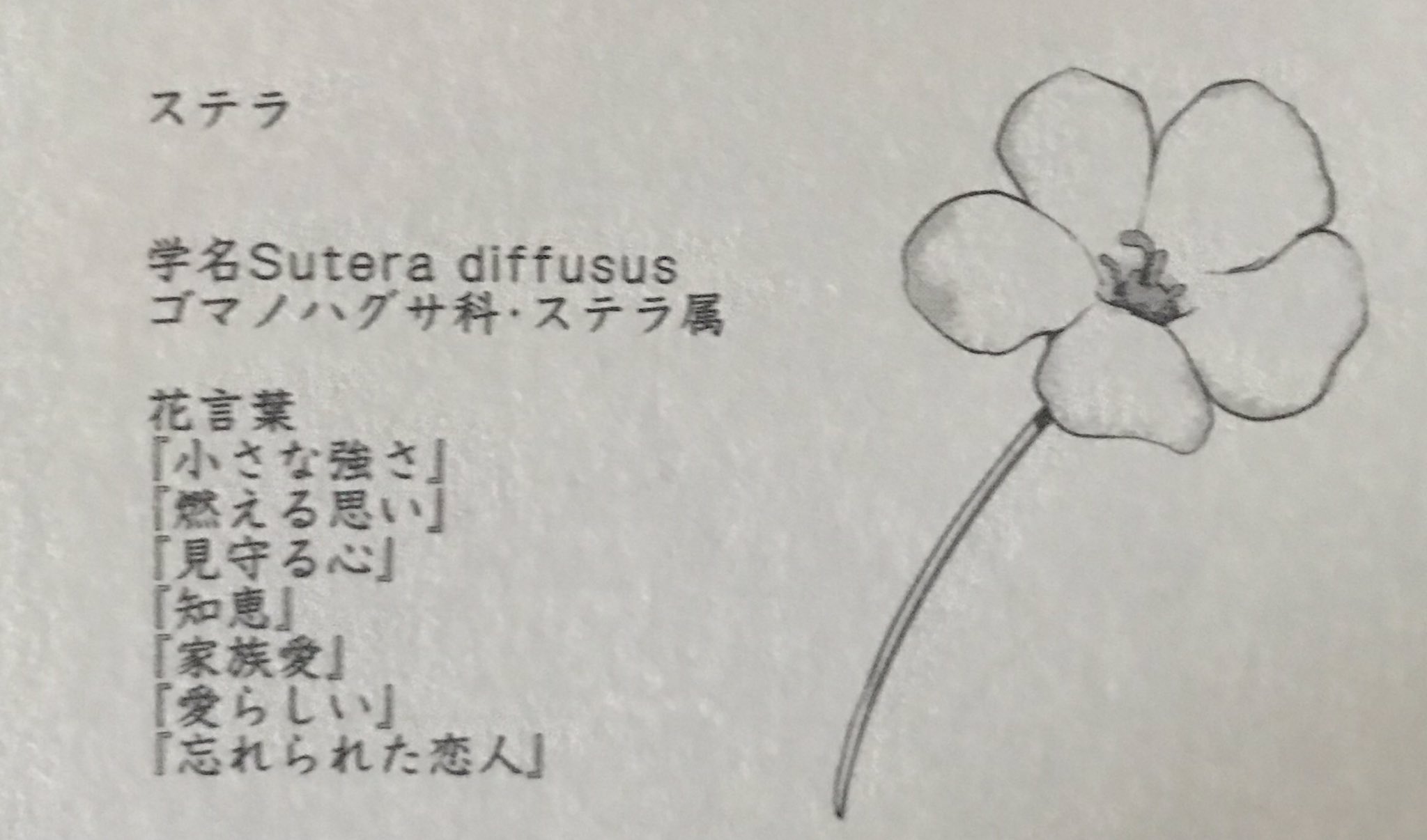 マザコンハーサカ V Twitter 7tusvxqcgf5f0mi 忘れられた恋人 がなんか切ない T Co N3m8qm51ob Twitter マザコンハーサカ V Twitter 7tusvxqcgf5f0mi 忘れられた恋人 がなんか切ない T Co N3m8qm51ob Twitter