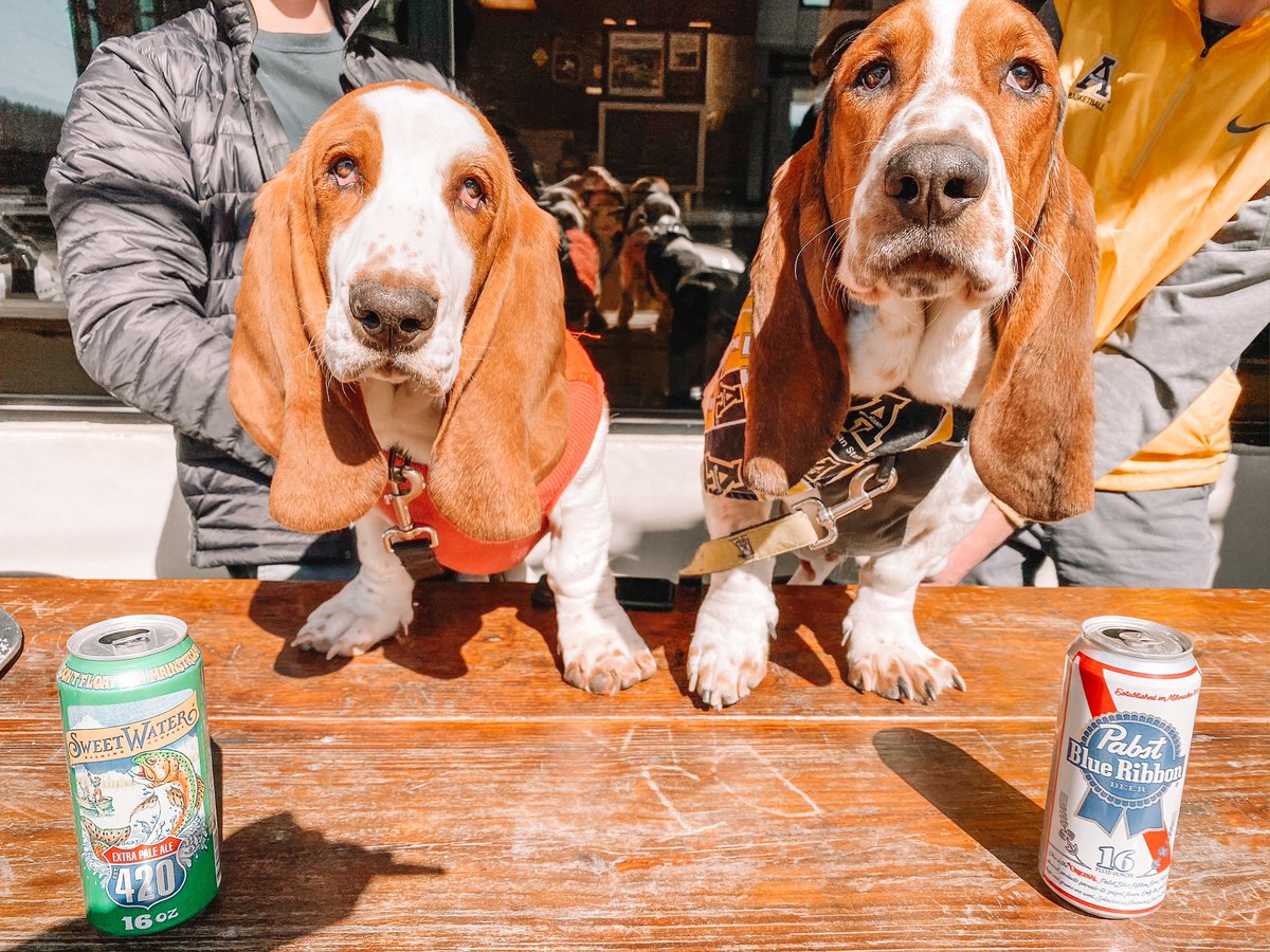 hannahdmartin's tweet photo. @StateFarm Roan + Calvin love pizza, Saturdays, and @StateFarm! #LoveYourPetDay https://t.co/KKGxhrkZjL