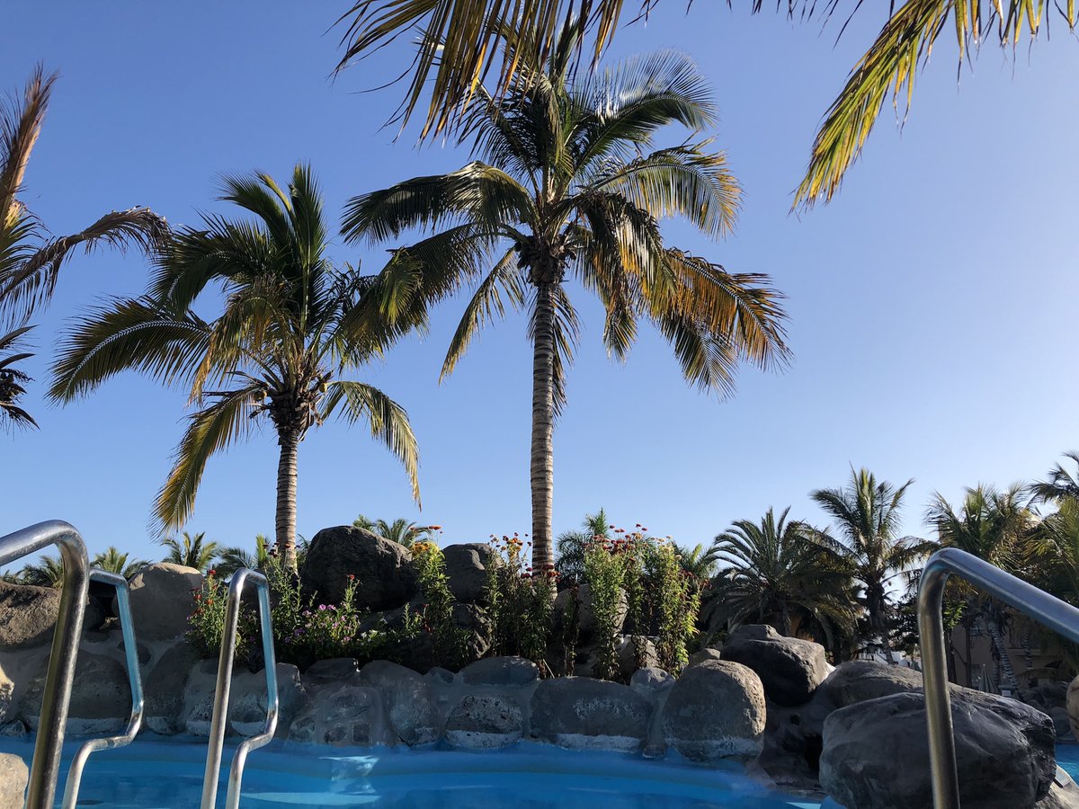 Palm_Oasis's tweet photo. Tenemos el lugar perfecto en el que dejar el estrés de lado, nuestro jacuzzi exterior. Eso sí, te advertimos algo, ¡no querrás salir de ahí! https://t.co/Egj2RzS7uf #palmoasis #viajar #GranCanaria https://t.co/yqhsPqKT6G