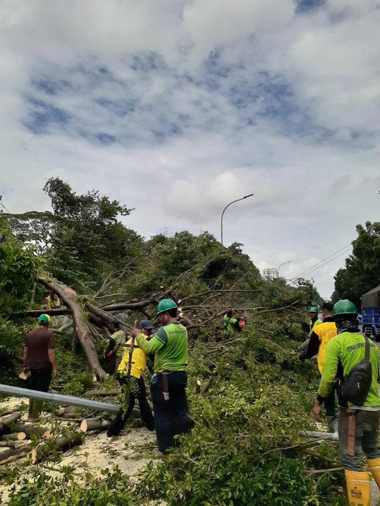 13.55.Petugas melakukan penanganan pohon tumbang diJl.Medan Merdeka Selatan.Hati-hati bila melintas @aniesupdatenews <a href="/TMCPoldaMetro/">TMC Polda Metro Jaya</a> <a href="/BPBDJakarta/">BPBD DKI JAKARTA</a> <a href="/RadioElshinta/">Radio Elshinta</a>