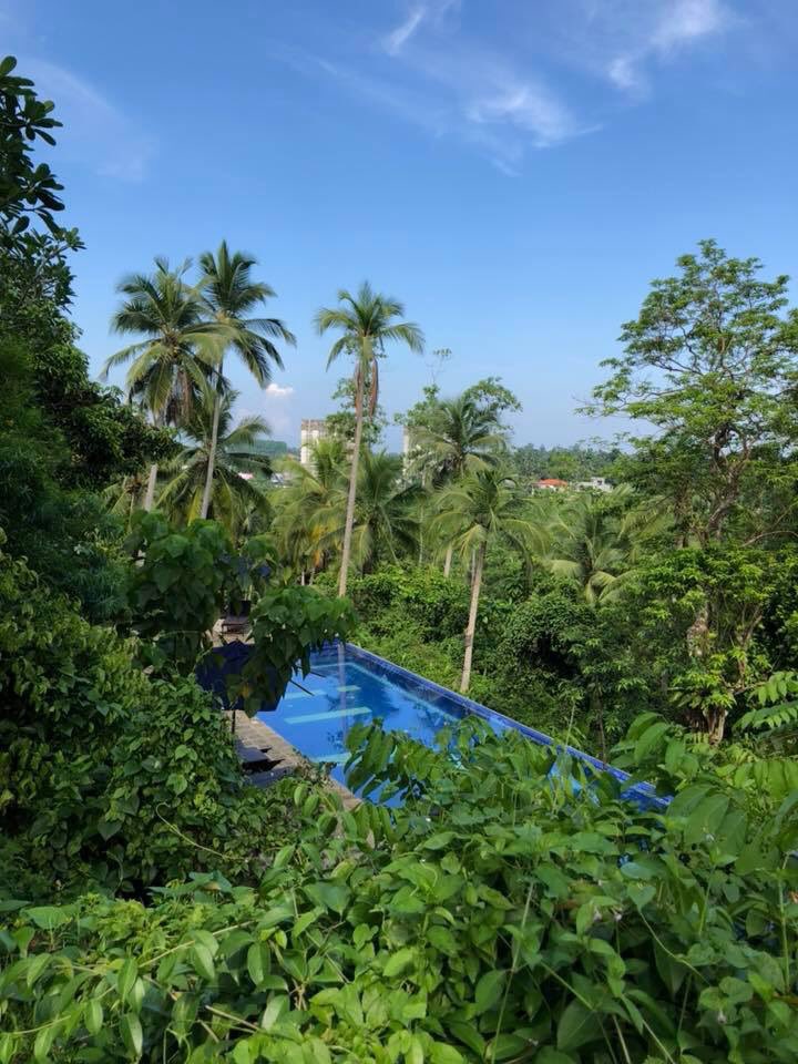 Jungle vibes