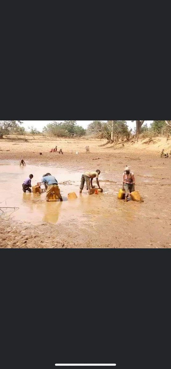 IsAlmajiri's tweet photo. DEAR ,GOMBE STATE GOVERNOR 
These are the people of #Bozonshilwa village area of waziri south local government area GOMBE STATE, crying for portable water to drink as this is their only source of water during Dry season 
Copied https://t.co/P2Dzu0VUjk