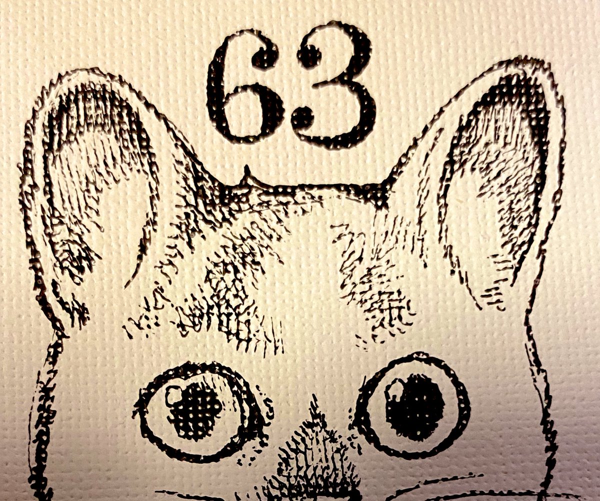 #絵本かがくのとも100  の書籍化はいつもお世話になってるお二人の共著。
#名久井直子 #井上佐由紀
応援も兼ね、こはるとどんこを描きました。百面相は写経かと思う道のり…
#今井昌代 #いわたまいこ #ヒグチユウコ 
以外にも応援の作品(非売もあり)など展示します。
https://t.co/gLWMJ9V5zM 