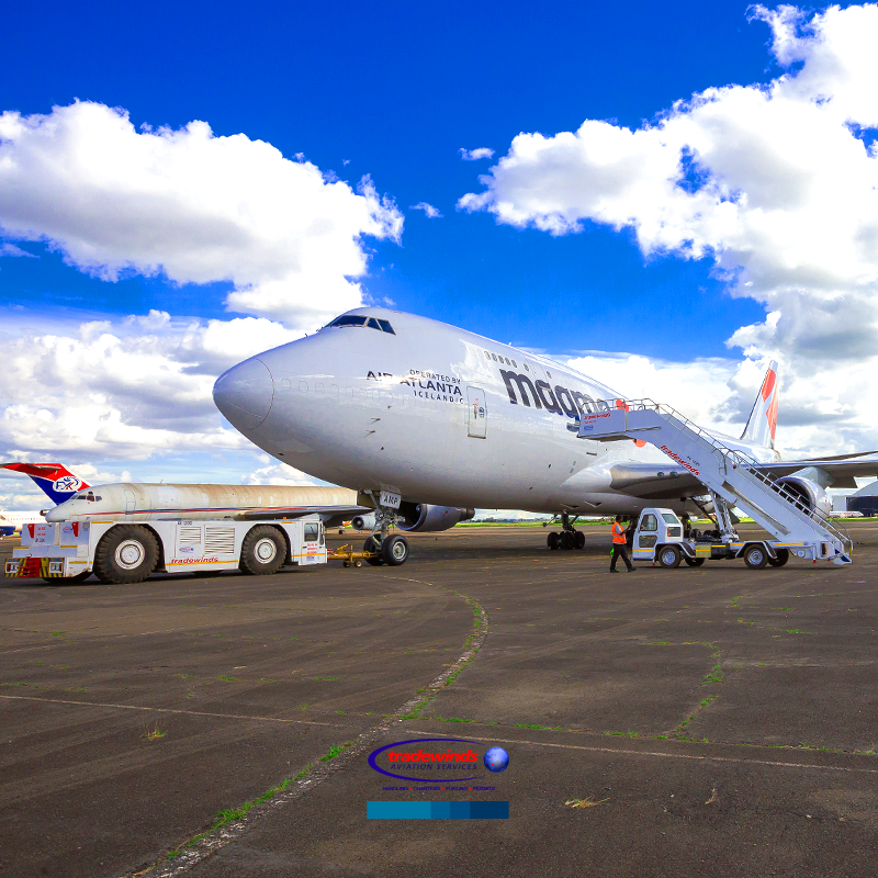 Tradewinds_AS's tweet photo. About last flight.... Our staff has been adequately trained to cover all cargo handling and management services.
#cargohandling #aircargo #cargo #airfreight #magmaaviation #B747cargo #freight #boeing747 #avgeek #Aviation #Boeing #B747 #magma #AirAtlantaIcelandic https://t.co/Dx8I9Mqo0l