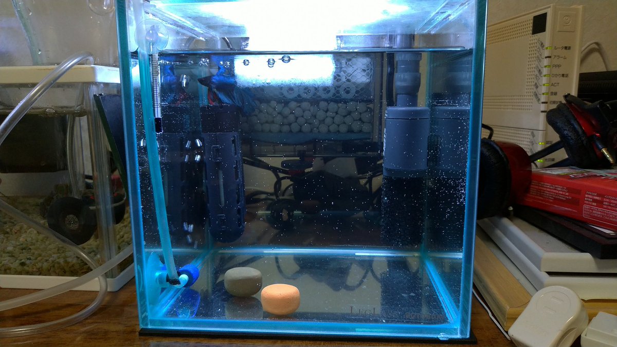 フィルター改造