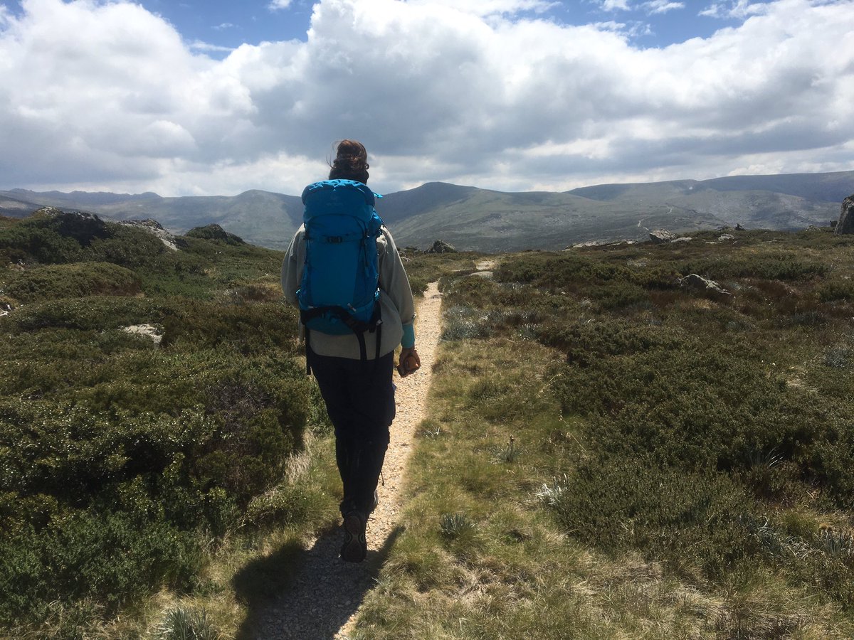 ThomasMBach's tweet photo. Great week of walkshopping in the Aus alps with weed mgmt experts from a variety of backgrounds. Invigorating what fresh air and fresh ideas can bring about. Thanks @SoniaGrahamBuch and  @DrNickGill for bringing us together! https://t.co/9Xhqv3MFqf