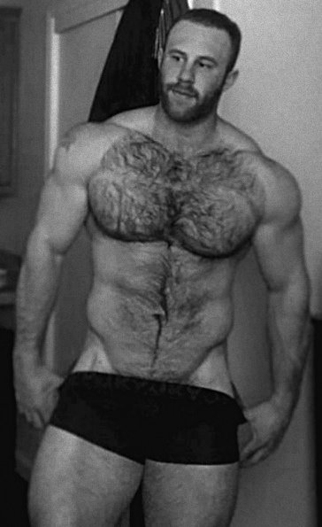 Hairy Guys/Hunks/Dilfs/Dads/🐻 on Twitter.