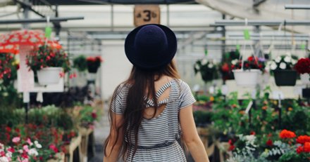 Transus_NL's tweet photo. Onlangs hebben wij niet alleen in Nederland, maar ook in België bij toonaangevende tuincentra EDI geïmplementeerd. Zowel in Nederland als België starten leveranciers daardoor in rap tempo via Transus EDI: https://t.co/jCvZNcqzRW

#edimadeeasy #tuincentrum #onesaleoneorder https://t.co/zjgQATCCxN