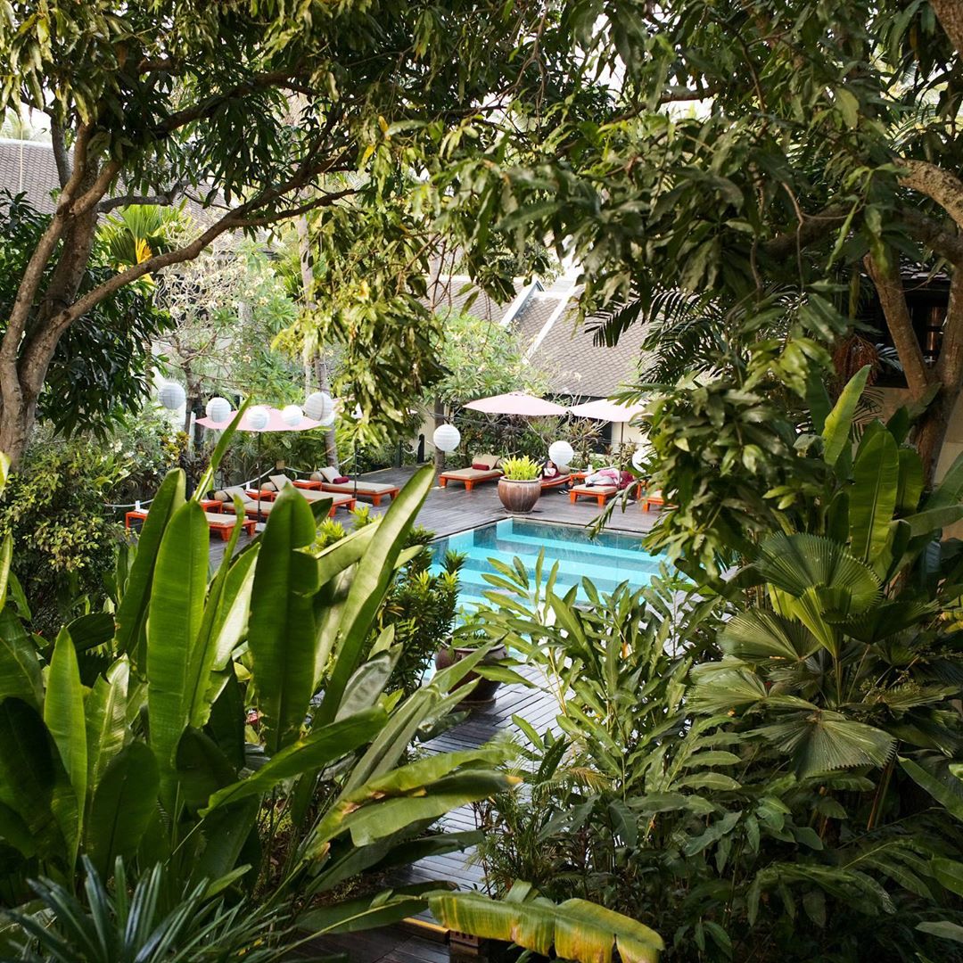 villamaly's tweet photo. Behold the lush beauty of #VillaMaly from your room. Hit 👍 "like" if you feel this tropical paradise stands in stark contrast to your current place! https://t.co/gIQVIQuanV #boutiquehotel #luangprabang 
📷 @danbywyburn https://t.co/fFhQueL0fa