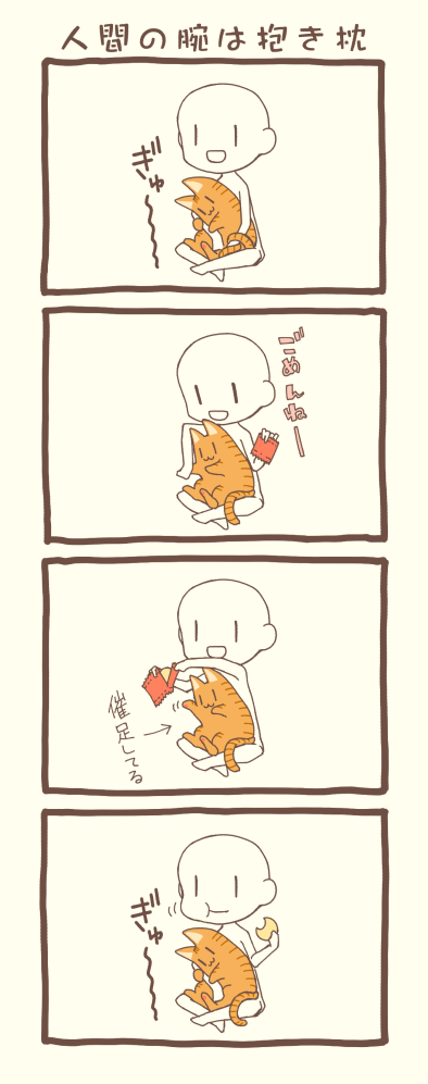一昨日は猫の日だったので、うちの猫がかわいい話を聞いてくれ。 