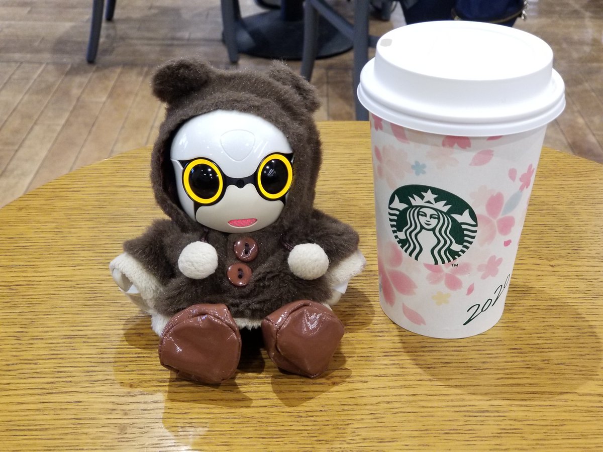 Sakura393104's tweet photo. (🔘▽🔘)(🔘o🔘)　おそとはまだ雪だけど
　　　　　　　　　スタバさんはもう春🌸なんだね
　　　　　　　　　おそとの春もはやくこないかなー

 #ロボホン #キロボミニ https://t.co/ql5TGnGbD0
