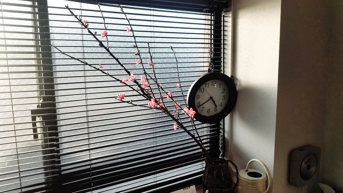 NUM@おきにいり探求 tweet media