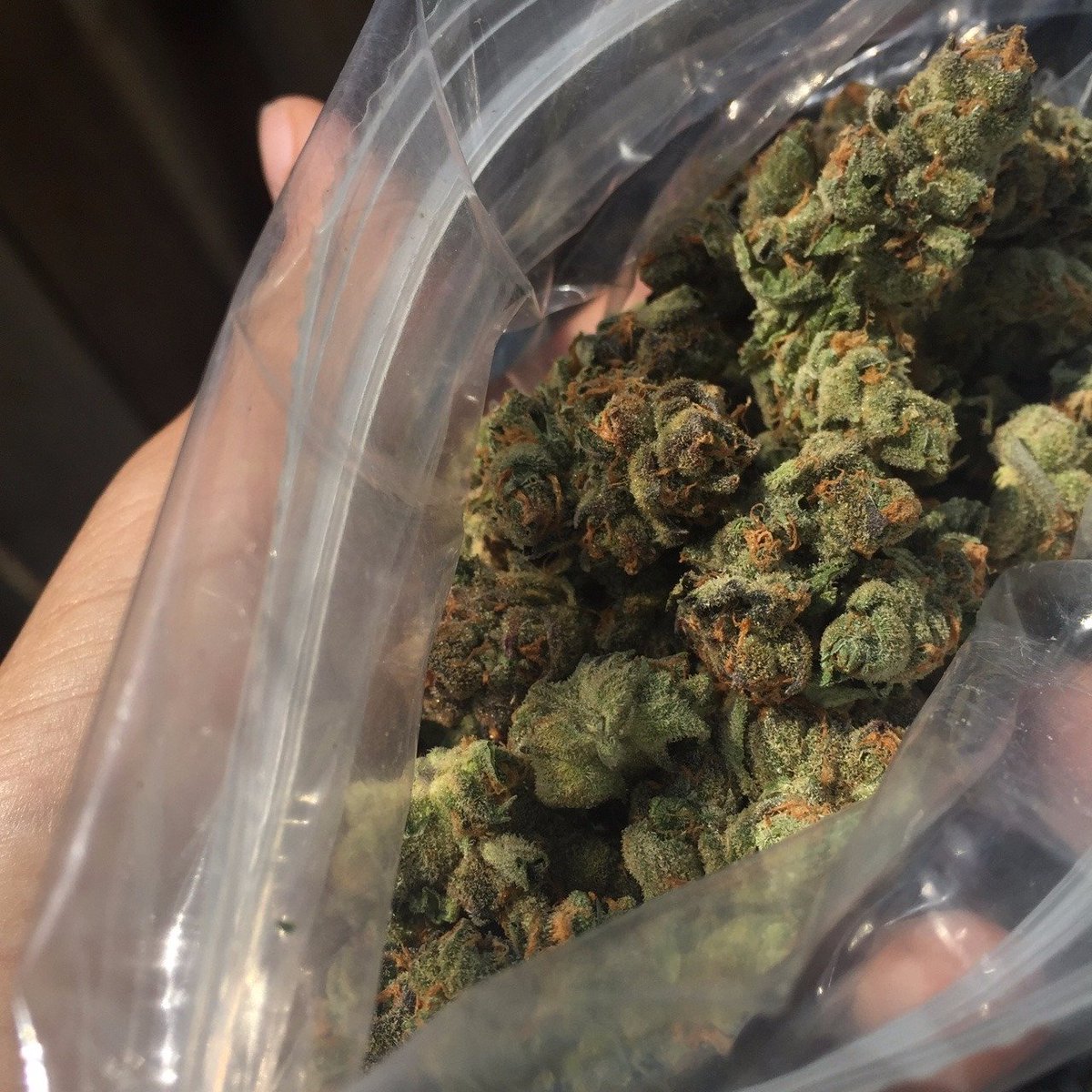 plugdrug720's tweet photo. Contact via:
Wickr:plugdrug720
Snapchat :plugdrug_josue

#banlieuesud #banlieuegantoise #banlieuesale #clanbanlieue #mabanlieue #banlieuerose #banlieuesalegang #banlieueisbeautiful
#reseauxsociaux #smookers #girlssmooking #stonergirls #paris16 https://t.co/osHoPeT5Lh