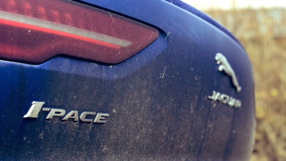 Tim Pollard tweet media