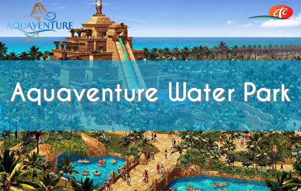 CTC_Tourism's tweet photo. Book the most luxurious water park in Dubai with CTC Tourism https://t.co/FQdHo6Wsfa #UAE #Dubai #Tourism #CTC #Holiday #VisitDubai #doyoutravel #travelmore #goexplore #wonderfulplaces #lovetotravel https://t.co/sCSdyveDoI