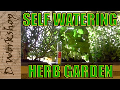 TripsSnap's tweet photo. How to Make Self Watering Herb Garden at Home | Fresh Garden

Video: https://t.co/dL2lIYdYFS
Subscribe: https://t.co/dylFlN4SLa https://t.co/UT7d2JNua5