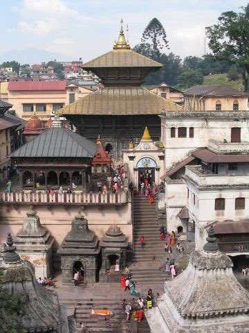 तर्क देते हैं कि मंदिर की वास्तुकला और मजबूत आधार मुख्य कारक हैं जिन्होंने पशुपतिनाथ मंदिर को भूकंप के प्रभावों का सामना करने में मदद की।