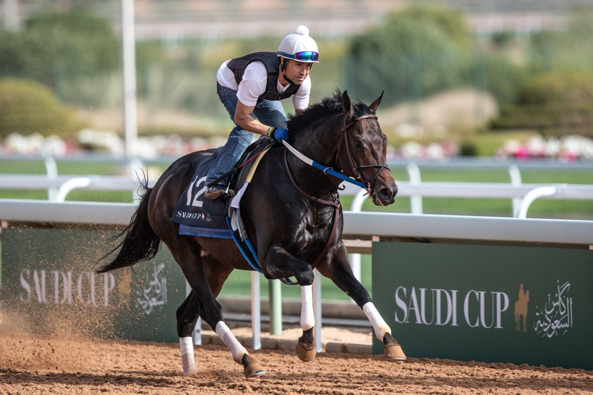 Αποτέλεσμα εικόνας για Saudia Sponsors Biggest Horse Race in History – The Saudi cup
