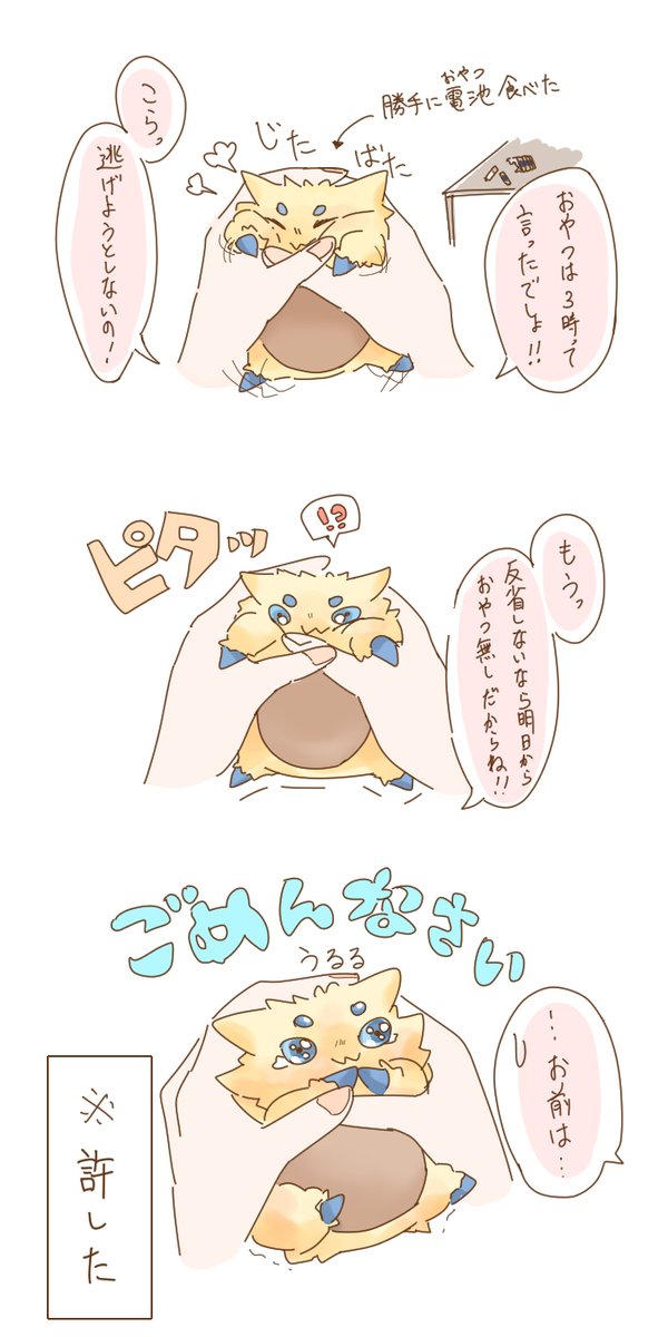 モフ على تويتر 自分が可愛いことを自覚しているバチュル ポケモンと生活