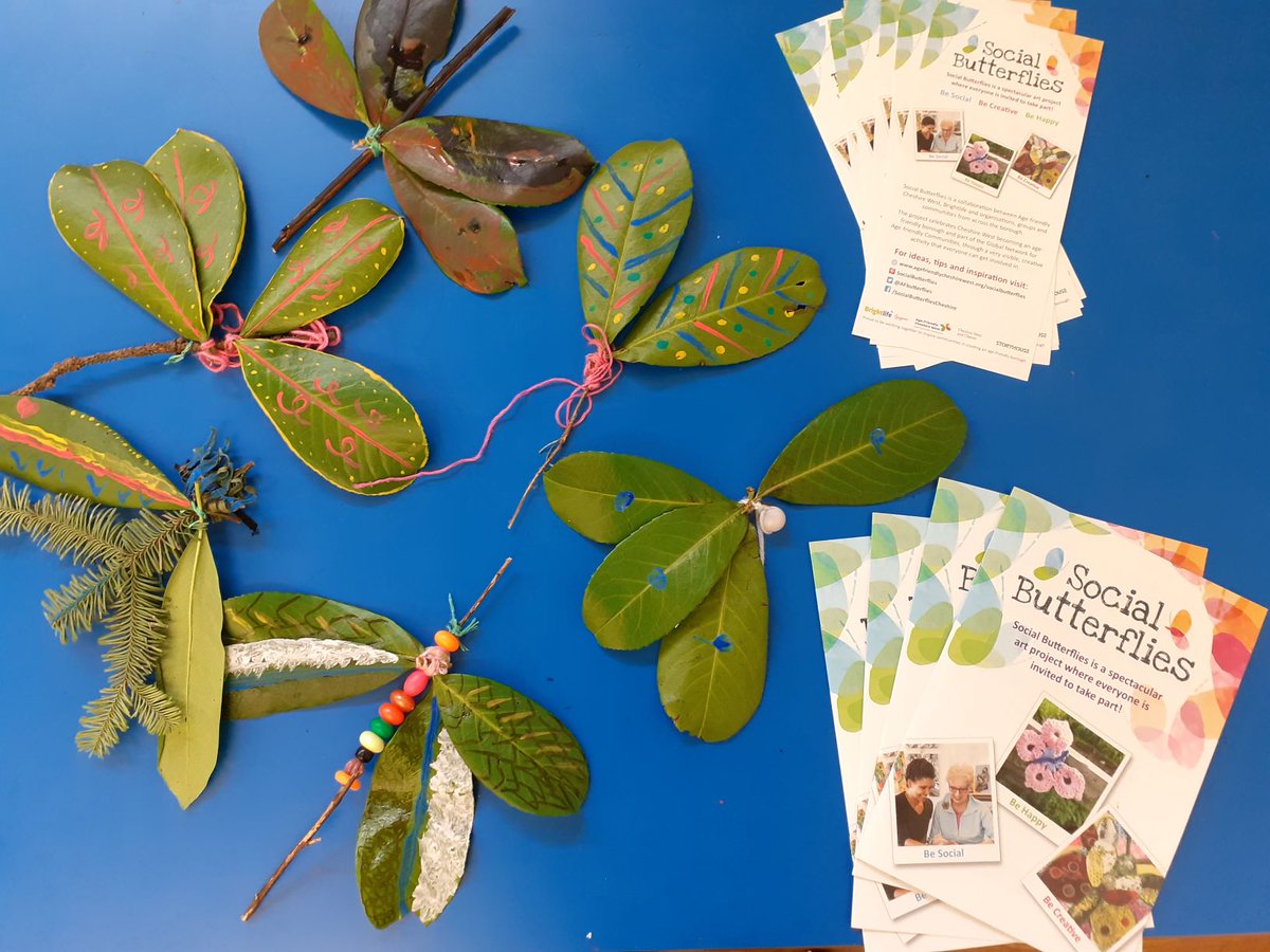 Clutton CE Primary tweet media