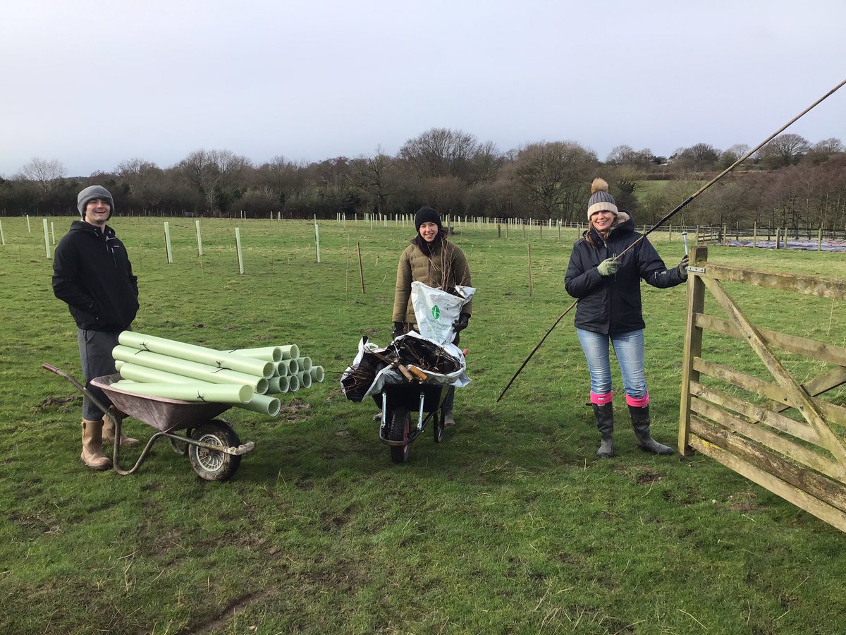 NewDaleWood's tweet photo. Volunteers wrap up warm on the first day of planting, with a few hours of sunshine between storms. https://t.co/HygtfyXQF6